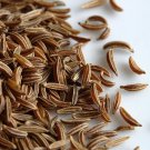 seeds 2,000 caraway for growing meridian fennel, persian cumin non-gmo