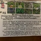 8 seed mints: spearmi/cinnm/choc/strawber/lavendr/apple/orange/pineapple #25