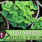 5250 italian oregano seeds, herb gardening seed packet,