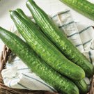 15 organic japanese suyo long cucumber seeds,