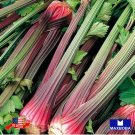 30 seeds redventure organic celery non-gmo heirloom btgo 75% off
