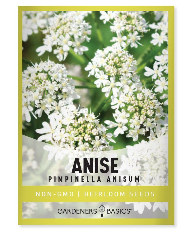 seeds anise