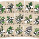 seeds 15 culinary herb variety pack: heirloom garden basil cilantro parsle