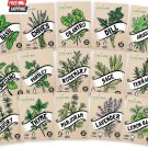 seeds 15 culinary herb variety pack: heirloom garden basil cilantro parsle