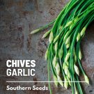 250 seeds chives, garlic - culinary, medicinal & decorative herb heirloom