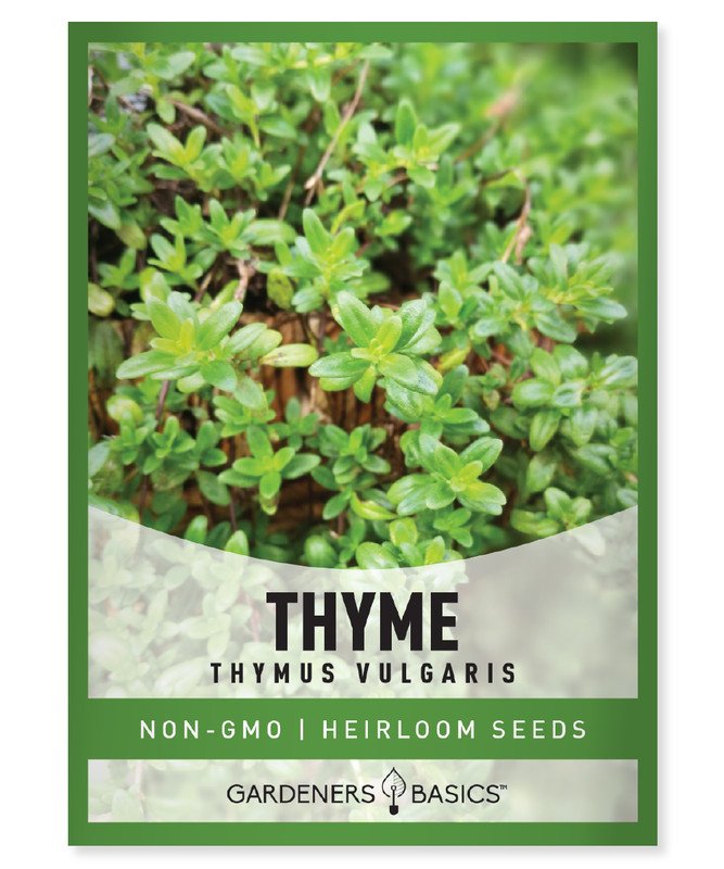 seeds winter thyme