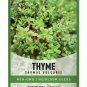 seeds winter thyme