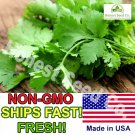 seeds 150 organic slow bolt cilantro | non-gmo fresh garden farms