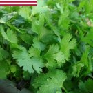 cilantro seeds- organic- coriander- herb- 200 is $1.69 flat rate