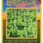 2000 seeds lemon basil herb - everwilde farms mylar seed packet