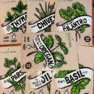 7 sustainable sprout lot of packets oregano chives cilantro basil dill thyme