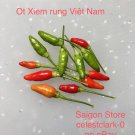 20 seeds 5 ot xiem rung/ vietnam bird’s eye chili,  , delicious