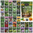 36 seeds ultimate medicinal herbs collection - variety pack of herb for growi...