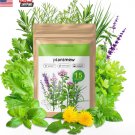 seeds herb variety pack - non-gmo heirloom for planting indoors, outdoors