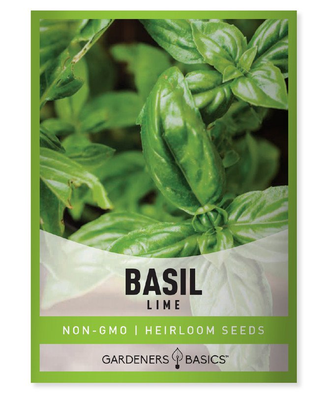 seeds lime basil