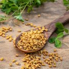 300 seeds fenugreek trigonella foenum graecum herb flower