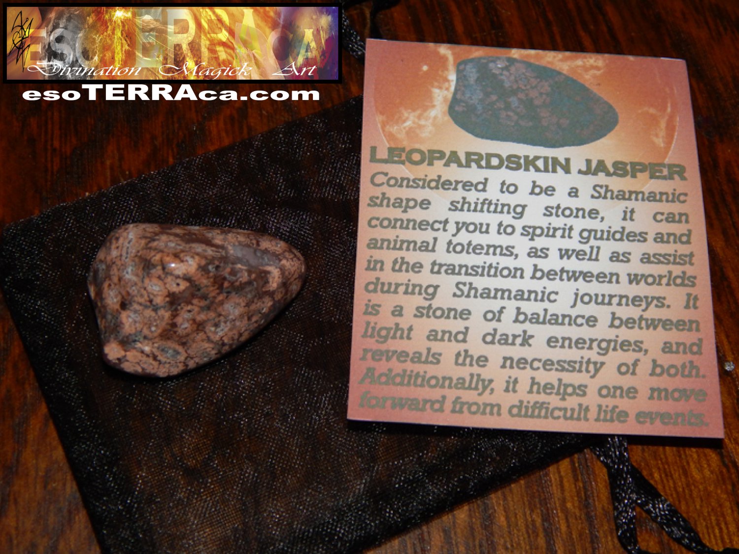 Genuine LEOPARDSKIN JASPER - Genuine Tumbled Leopardskin Jasper - @1 Inch Gemstones
