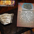 GENUINE ZEBRADORITE - Genuine Rough Zebradorite - 1+ Inch Gemstones