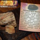 Genuine PETRIFIED WOOD - Genuine Rough Petrified Wood - 1+ Inch Gemstones