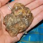 Genuine ANDRADITE Specimen Stone - Rough Andradite Garnet Crystal Cluster