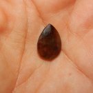 UNTREATED Genuine BROWN SAPPHIRE - Genuine Earth-mined Sapphire - 6.2 carat Sapphire