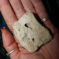 Faerie Seer Stone - Fairy Stone - Hag Stone - Odin Stone - Holey Stone