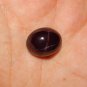 Genuine STAR GARNET - Four Ray Star Garnet Cabochon - 21.8 carat Garnet - Natural Garnet Crystal