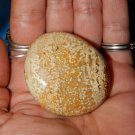 Genuine OCEAN JASPER Palm Stone - Large Tumbled Orbicular Jasper