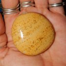 Genuine OCEAN JASPER Palm Stone - Large Tumbled Orbicular Jasper
