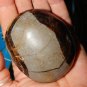 Genuine SEPTARIAN Palm Stone - Large Tumbled Genuine Septarian Crystal