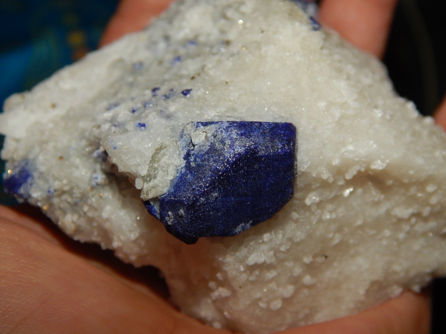 GENUINE LAZURITE Crystals on Matrix - Raw Lazurite - Gemstone Cluster