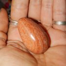 Genuine PETRIFIED WOOD Egg - Fossilized Gemstone Egg - Crystal Egg