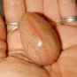 Genuine PETRIFIED WOOD Egg - Fossilized Gemstone Egg - Crystal Egg