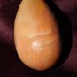 Genuine PETRIFIED WOOD Egg - Fossilized Gemstone Egg - Crystal Egg