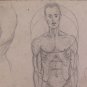 Antique Drawing Pencil on paper Sketch Original Master Pancaldi Modena
