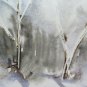 Painting Watercolour Painting with the Technical Frost Landscape Winter Hat