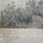 Engraving Antique Landscape Countryside Trees Signed Axel Holm Vintage Print