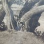 Engraving Antique Landscape Countryside Trees Signed Axel Holm Vintage Print