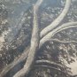 Engraving Antique Landscape Countryside Trees Signed Axel Holm Vintage Print