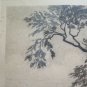 Engraving Antique Landscape Countryside Trees Signed Axel Holm Vintage Print
