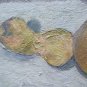 Potatoes on Table Nature Still Painting Oil board Antique Warranty p16