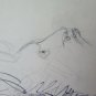 Lion Old Drawing Sketch Sketching of Painter G.Pancaldi 1922-2014 P28.7