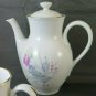 Service for Coffee' Tea Tea Porcelain Richard Ginori Vintage PS11
