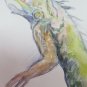 Drawing Antique Finished to Watercolour Theme Naturalistic Animals Iguana P28