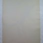Drawing Antique Finished to Watercolour Theme Naturalistic Animals Iguana P28