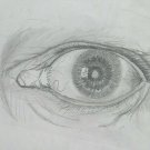 Drawing Sketch Sketching Pencil on Basket Eye Opera of Painter Pancaldi P28.9