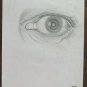 Drawing Sketch Sketching Pencil on Basket Eye Opera of Painter Pancaldi P28.9