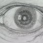 Drawing Sketch Sketching Pencil on Basket Eye Opera of Painter Pancaldi P28.9