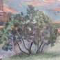 Painting Antique Oil Landscape Painting Original Signed Pancaldi Modern 900 Xx