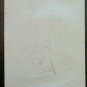 Sketch Pencil on Basket Drawing Studio Nude Body Feminine Vintage P28.5
